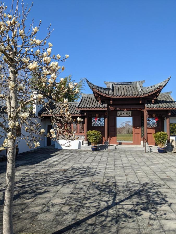 High Point Guesthouse - Next To Seattle Chinese Garden エクステリア 写真