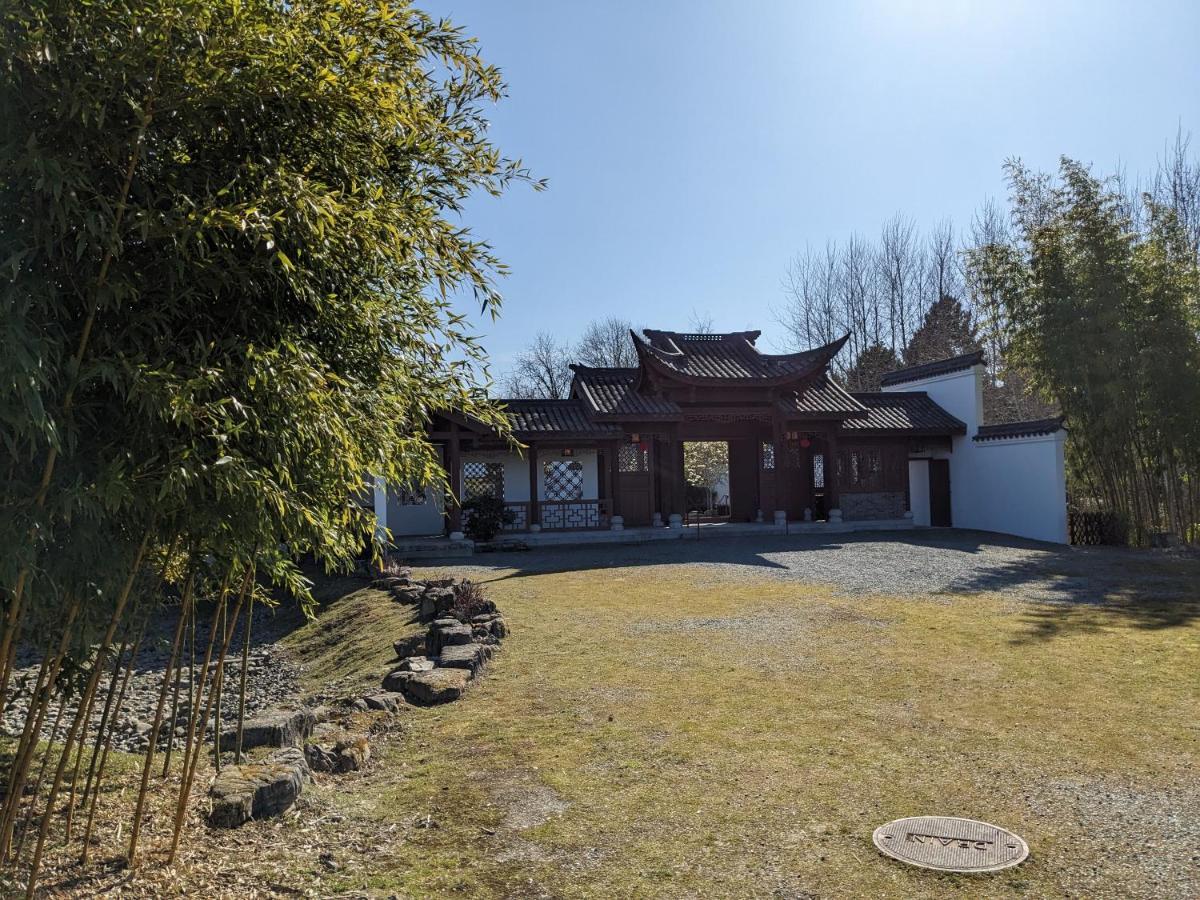 High Point Guesthouse - Next To Seattle Chinese Garden エクステリア 写真